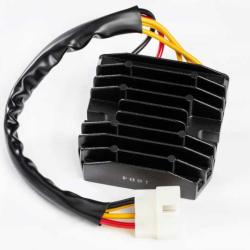 RICKS MOTORSPORT ELECTRICS 10004H