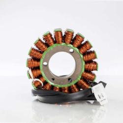 RICKS MOTORSPORT ELECTRICS 21239