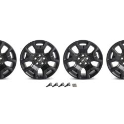 Ford Racing M-1007K-S17BSB