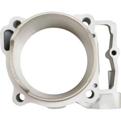 CYLINDER WORKS CW50009K02