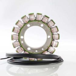 RICKS MOTORSPORT ELECTRICS 21321