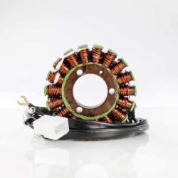 RICKS MOTORSPORT ELECTRICS 21242