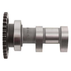 Hot Cams 2200-1IN