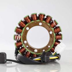 RICKS MOTORSPORT ELECTRICS 21050