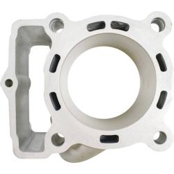 CYLINDER WORKS 510041