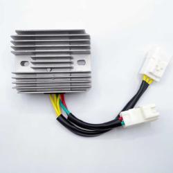 RICKS MOTORSPORT ELECTRICS 10037