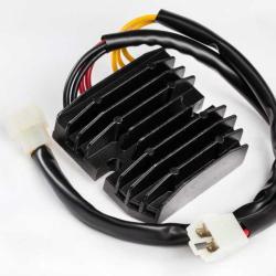 RICKS MOTORSPORT ELECTRICS 10005H