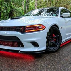 DIODE DYNAMICS DD0442