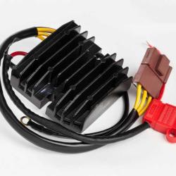 RICKS MOTORSPORT ELECTRICS 10013H