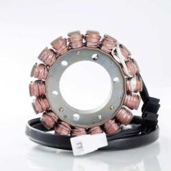 RICKS MOTORSPORT ELECTRICS 21139