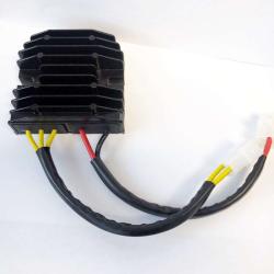 RICKS MOTORSPORT ELECTRICS 14216H