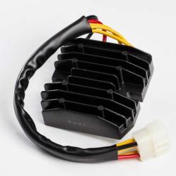 RICKS MOTORSPORT ELECTRICS 10218H