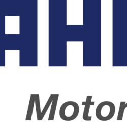 Mahle W-927