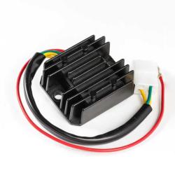 RICKS MOTORSPORT ELECTRICS 10317