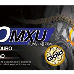 RK CHAIN GB520MXU110