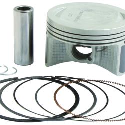 VERTEX PISTONS 24483050