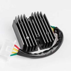 RICKS MOTORSPORT ELECTRICS 10101