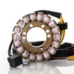 RICKS MOTORSPORT ELECTRICS 21563