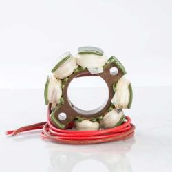 RICKS MOTORSPORT ELECTRICS 21923