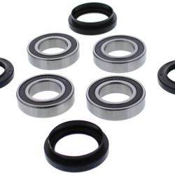 PIV Wheel Bearing Kit Pivot Works PWFWK-Y11-043