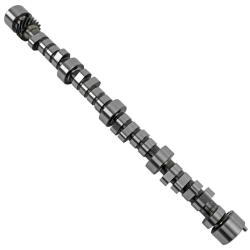 COMP Cams 12-412-8