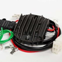 RICKS MOTORSPORT ELECTRICS 14135H