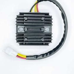 RICKS MOTORSPORT ELECTRICS 10030