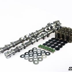 mountune 6069-CS2-AAK