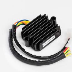 RICKS MOTORSPORT ELECTRICS 10231