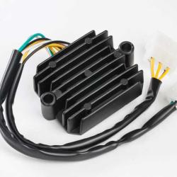 RICKS MOTORSPORT ELECTRICS 10133