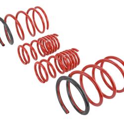 SK Lowering Springs Skunk2 Racing 519-05-1570