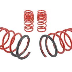 SK Lowering Springs Skunk2 Racing 519-05-1570