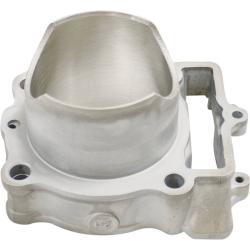 CYLINDER WORKS CW310161