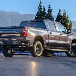 VANCE AND HINES 19850