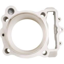 CYLINDER WORKS CW310171