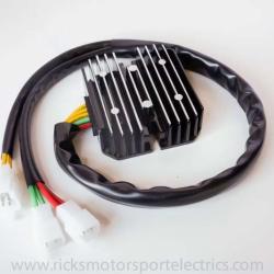RICKS MOTORSPORT ELECTRICS 14118