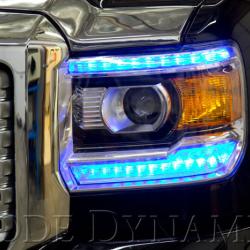 Diode Dynamics DD2010