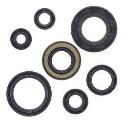 VERTEX PISTONS 822153