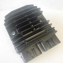 RICKS MOTORSPORT ELECTRICS 10000