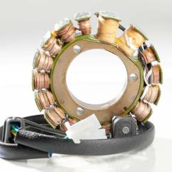 RICKS MOTORSPORT ELECTRICS 21824