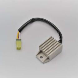 RICKS MOTORSPORT ELECTRICS 10175