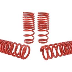 SK Lowering Springs Skunk2 Racing 519-05-1650