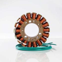 RICKS MOTORSPORT ELECTRICS 21W102