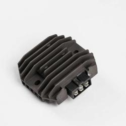 RICKS MOTORSPORT ELECTRICS 10303