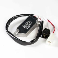 RICKS MOTORSPORT ELECTRICS 10407