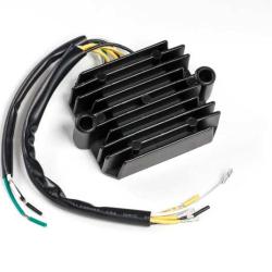 RICKS MOTORSPORT ELECTRICS 10503