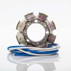 RICKS MOTORSPORT ELECTRICS 21636