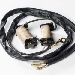 RICKS MOTORSPORT ELECTRICS 22780