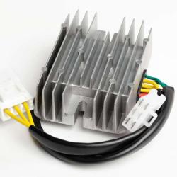 RICKS MOTORSPORT ELECTRICS 10165