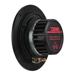 DS18 PRO-CUPOLA2